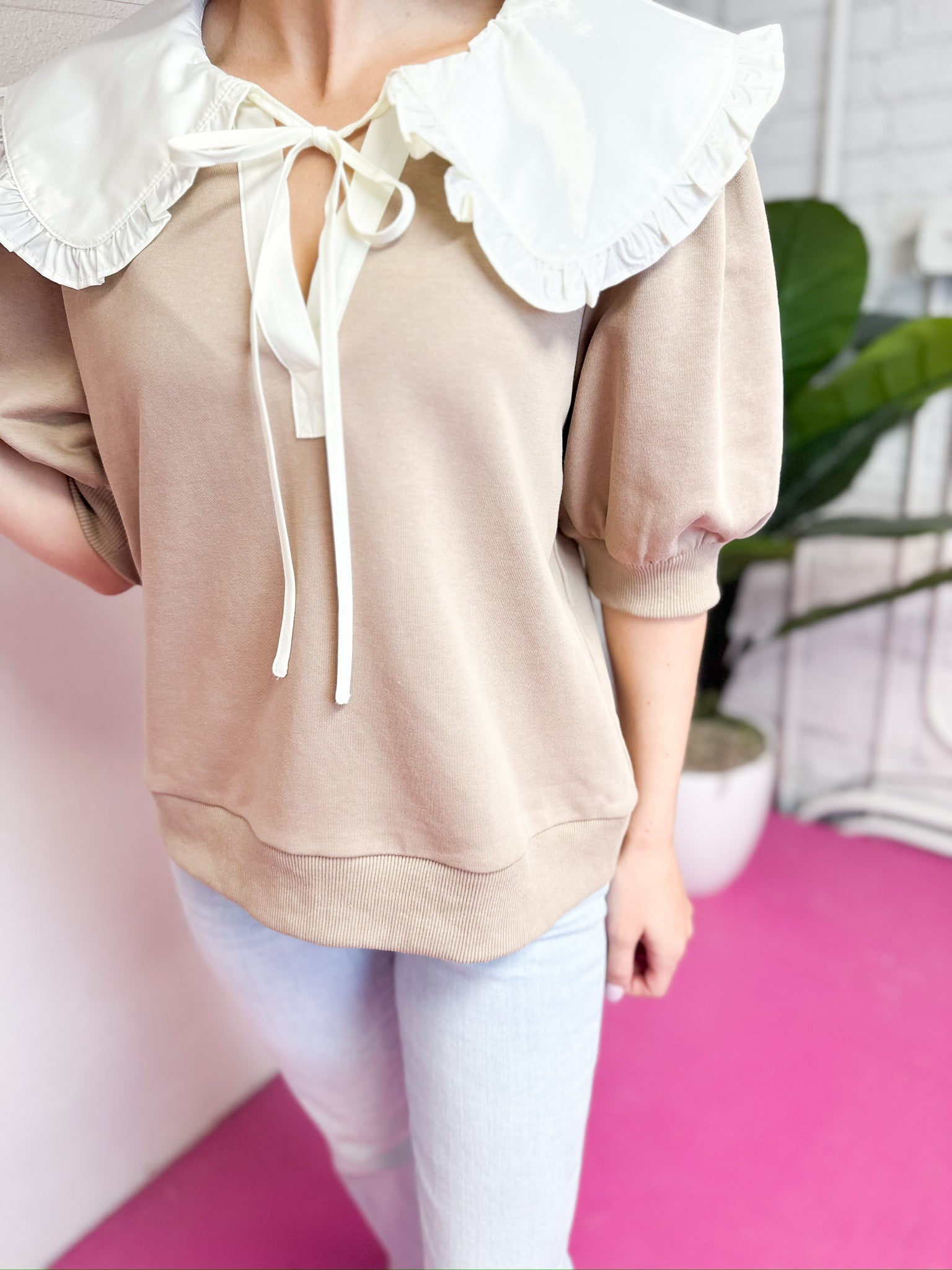 Short Sleeve Peter Pan Collar Short Sleeve Top