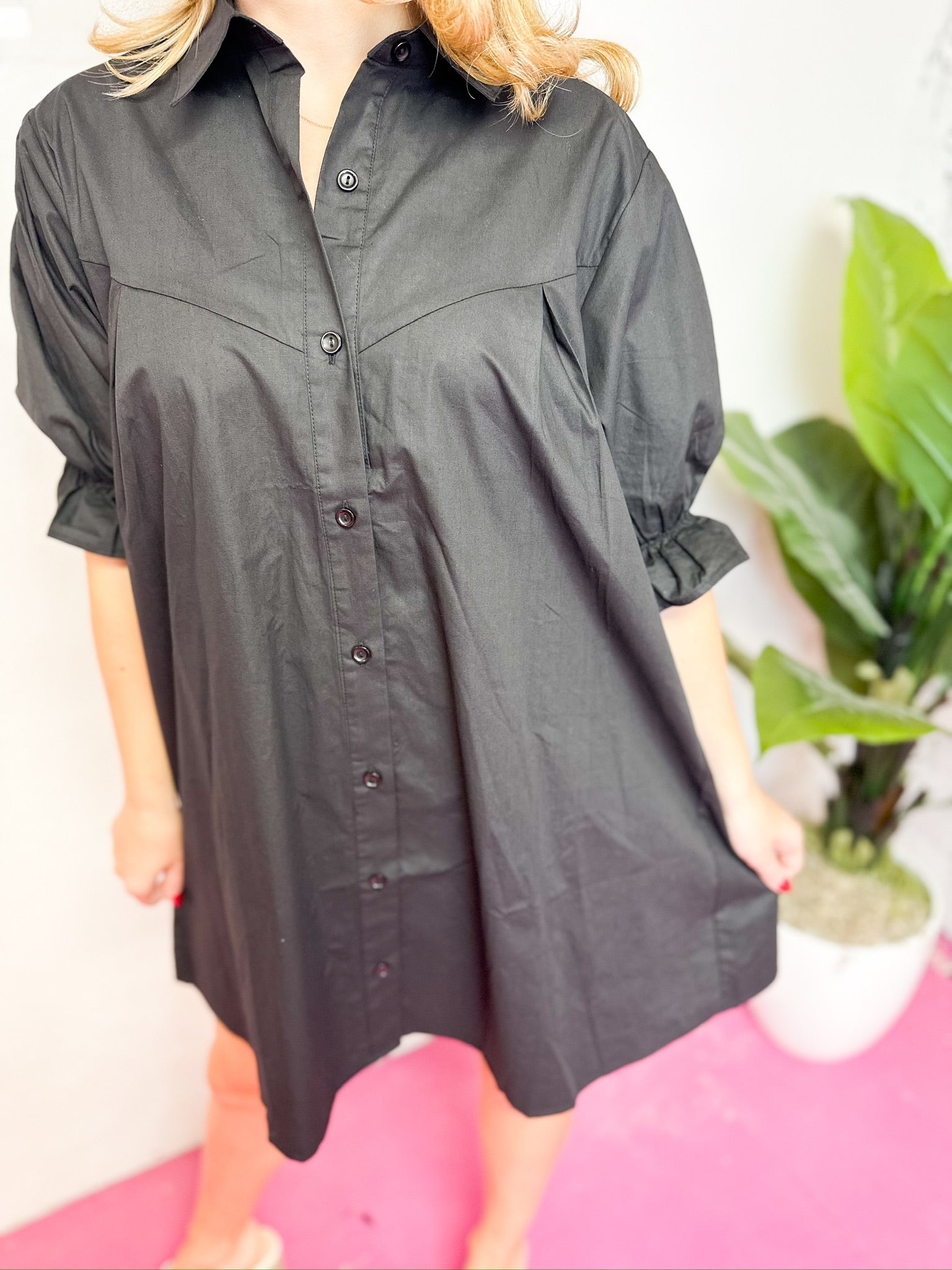 Poplin Button Front Dress