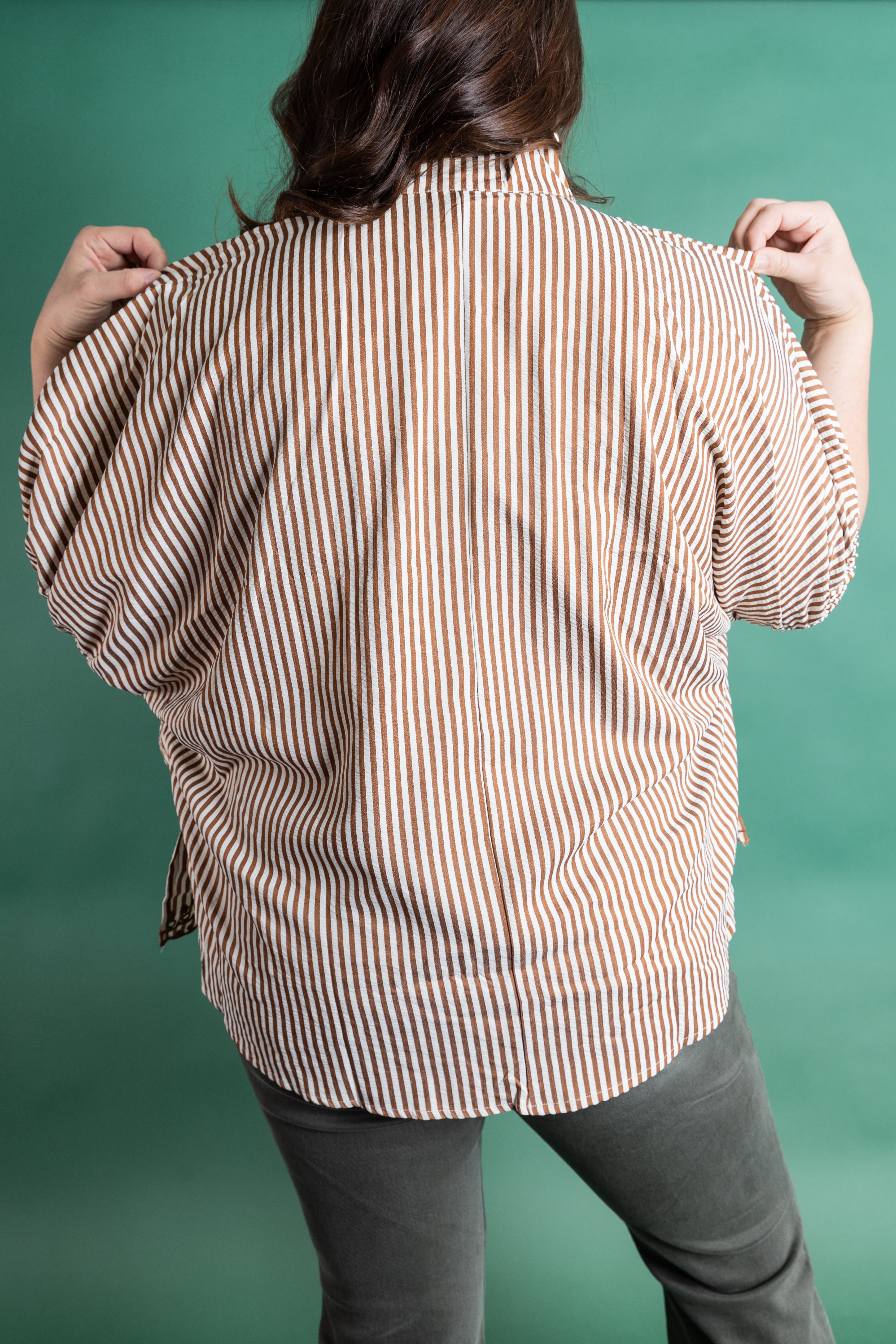 Plus Size Cinnamon Stipe Blouse