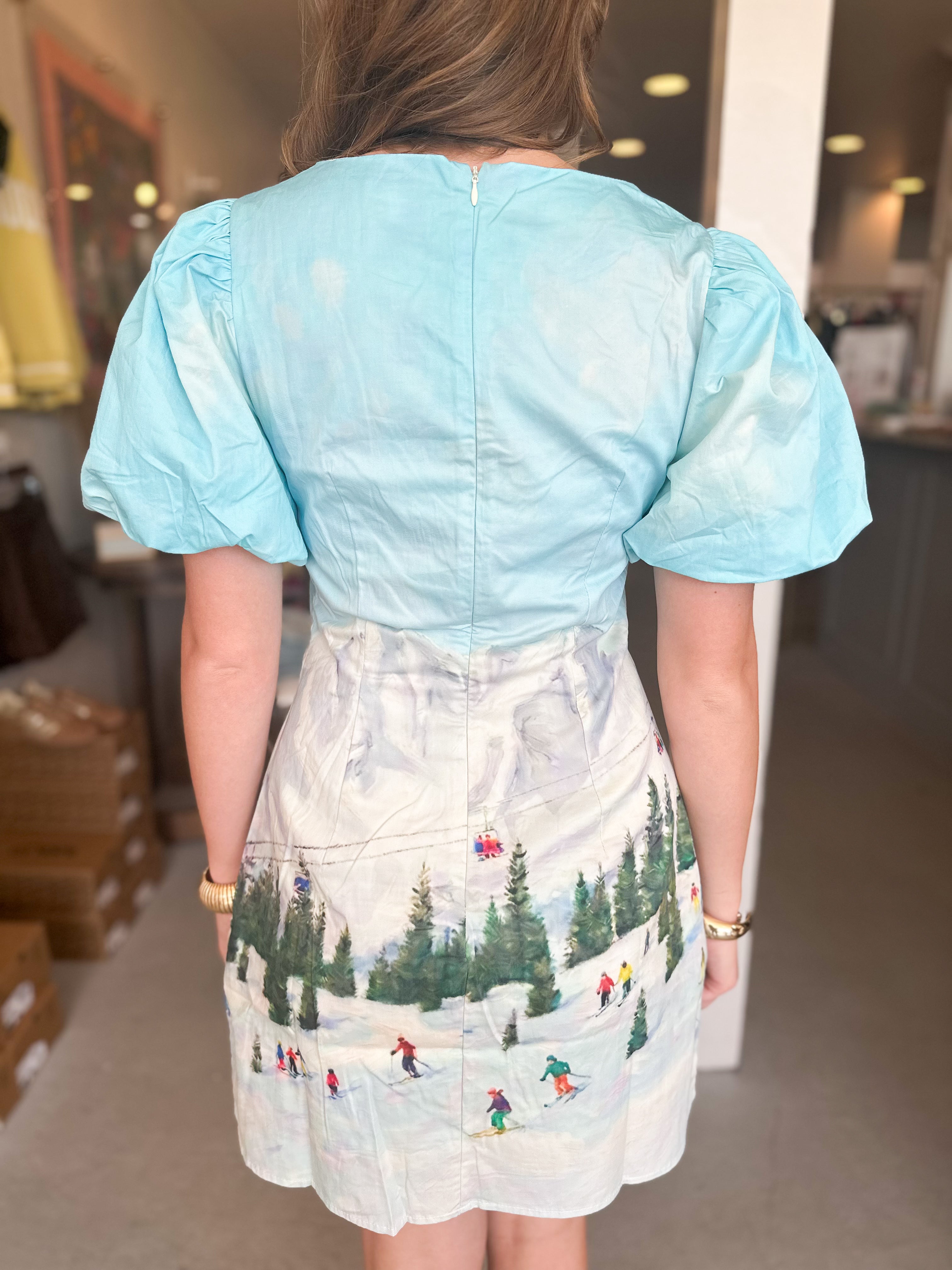 Winter Wonderland Dress