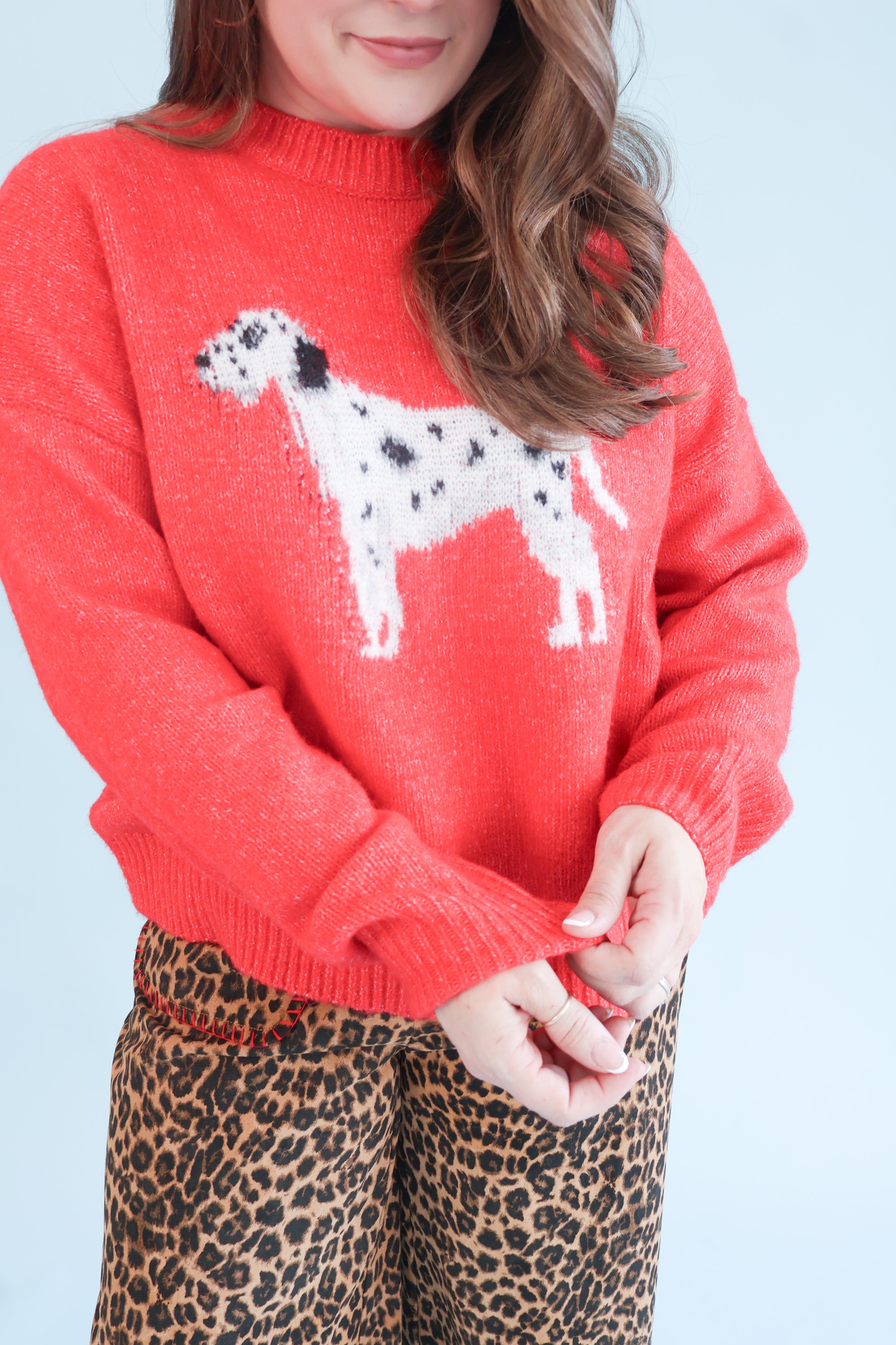 Loyal Friend Sweater