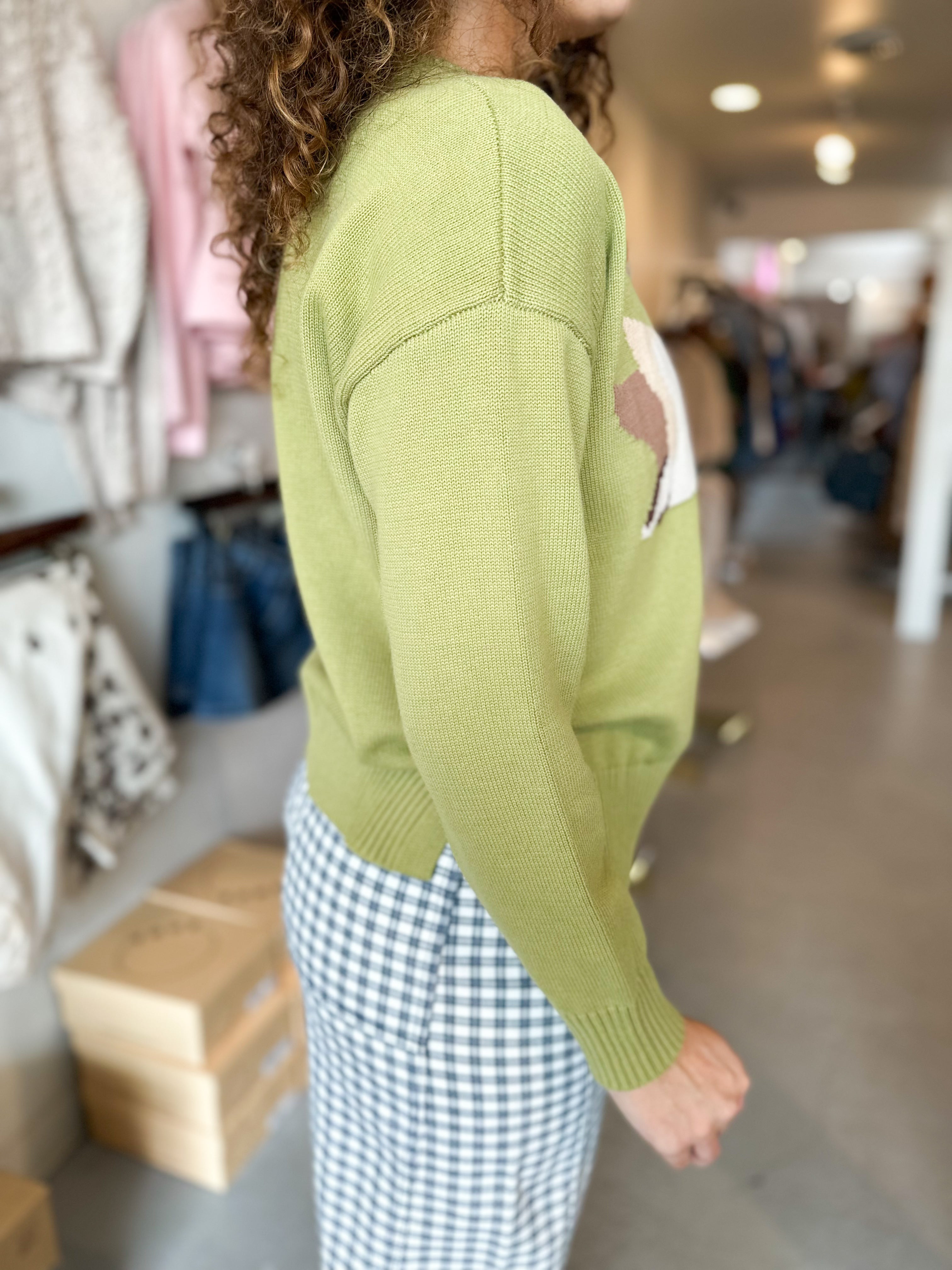 Flying South Sweater