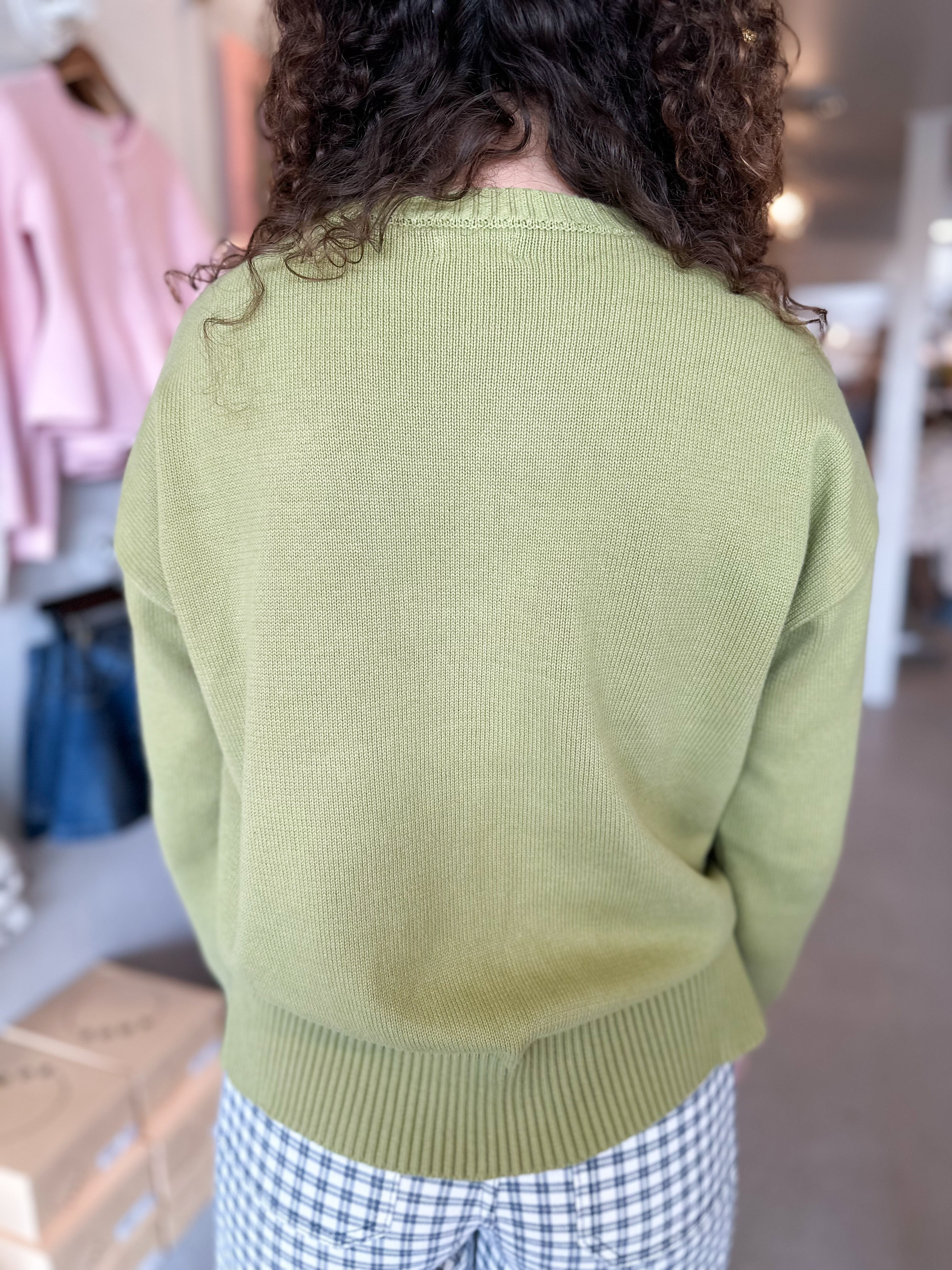Flying South Sweater