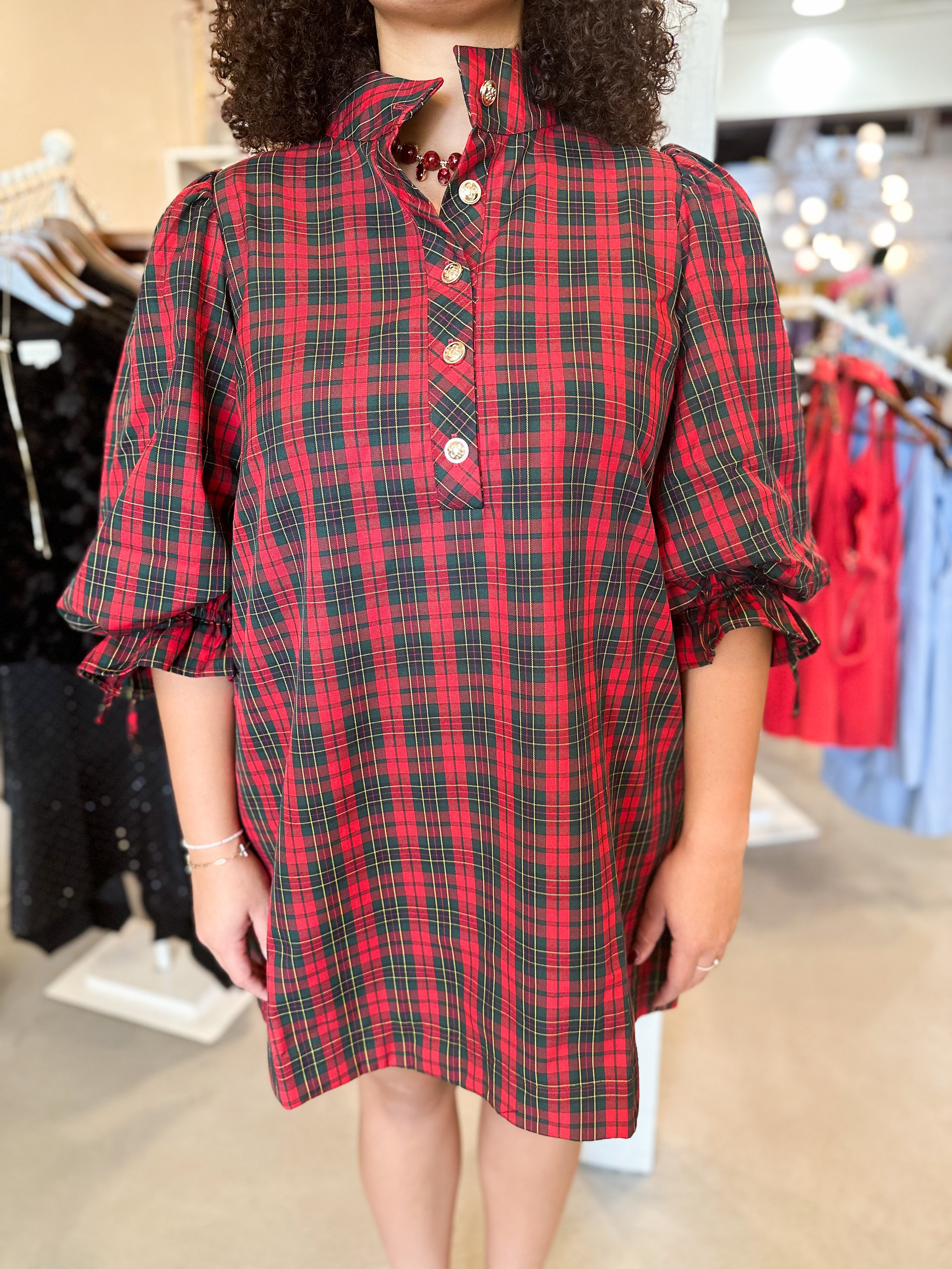 Plus Size Merry Little Plaid Dress