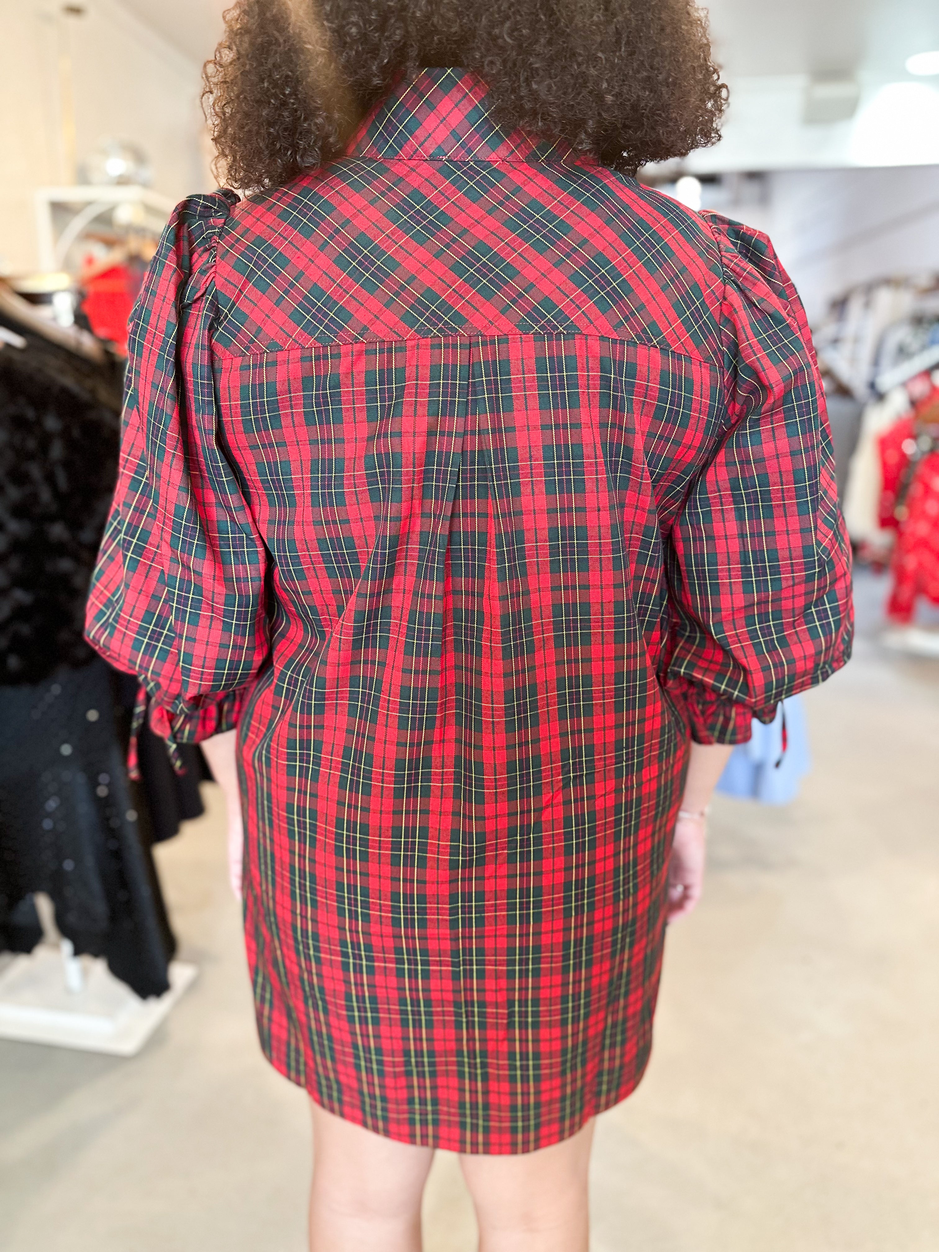 Plus Size Merry Little Plaid Dress