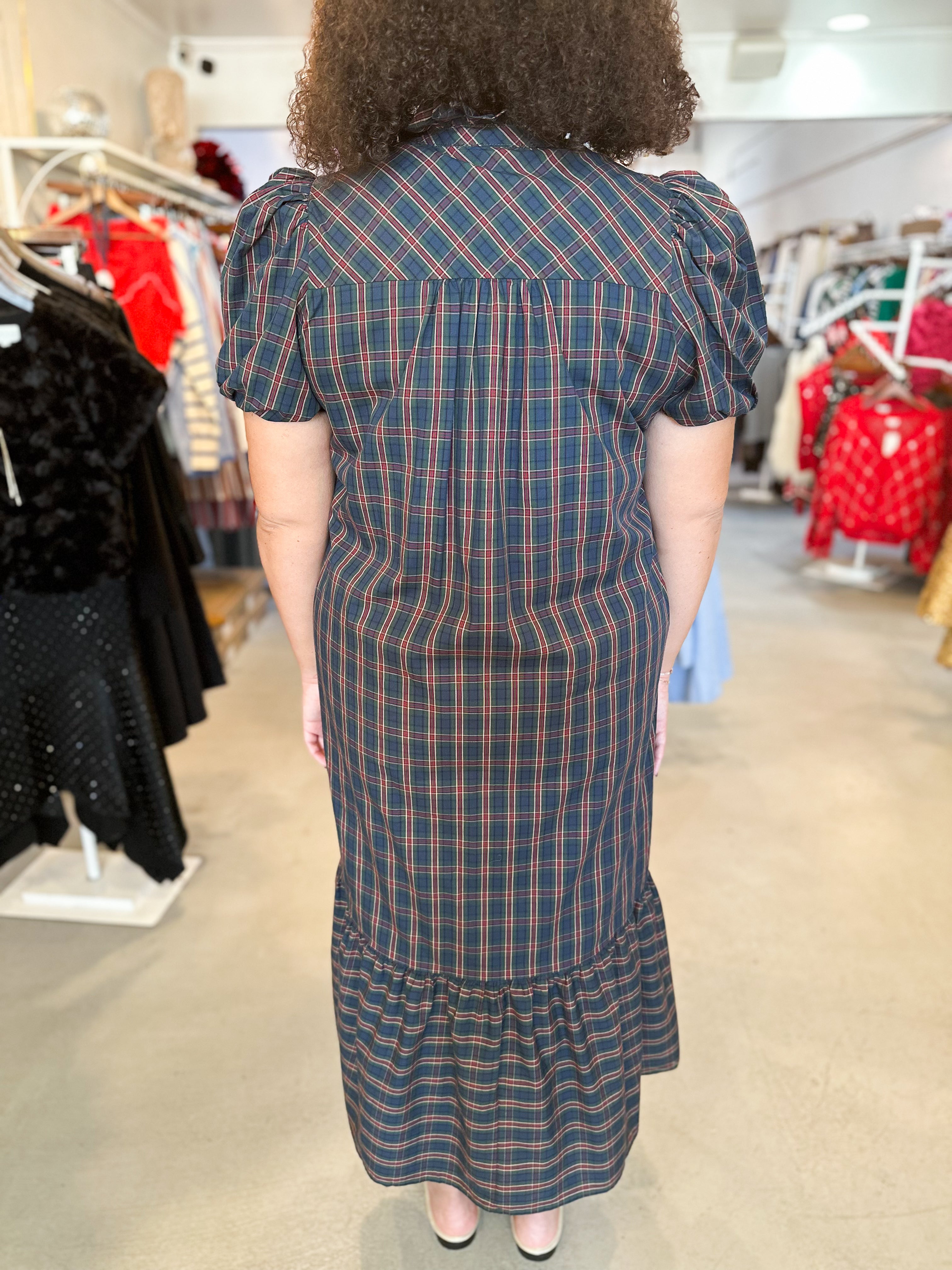 Plus Size Holly & Ivy Dress