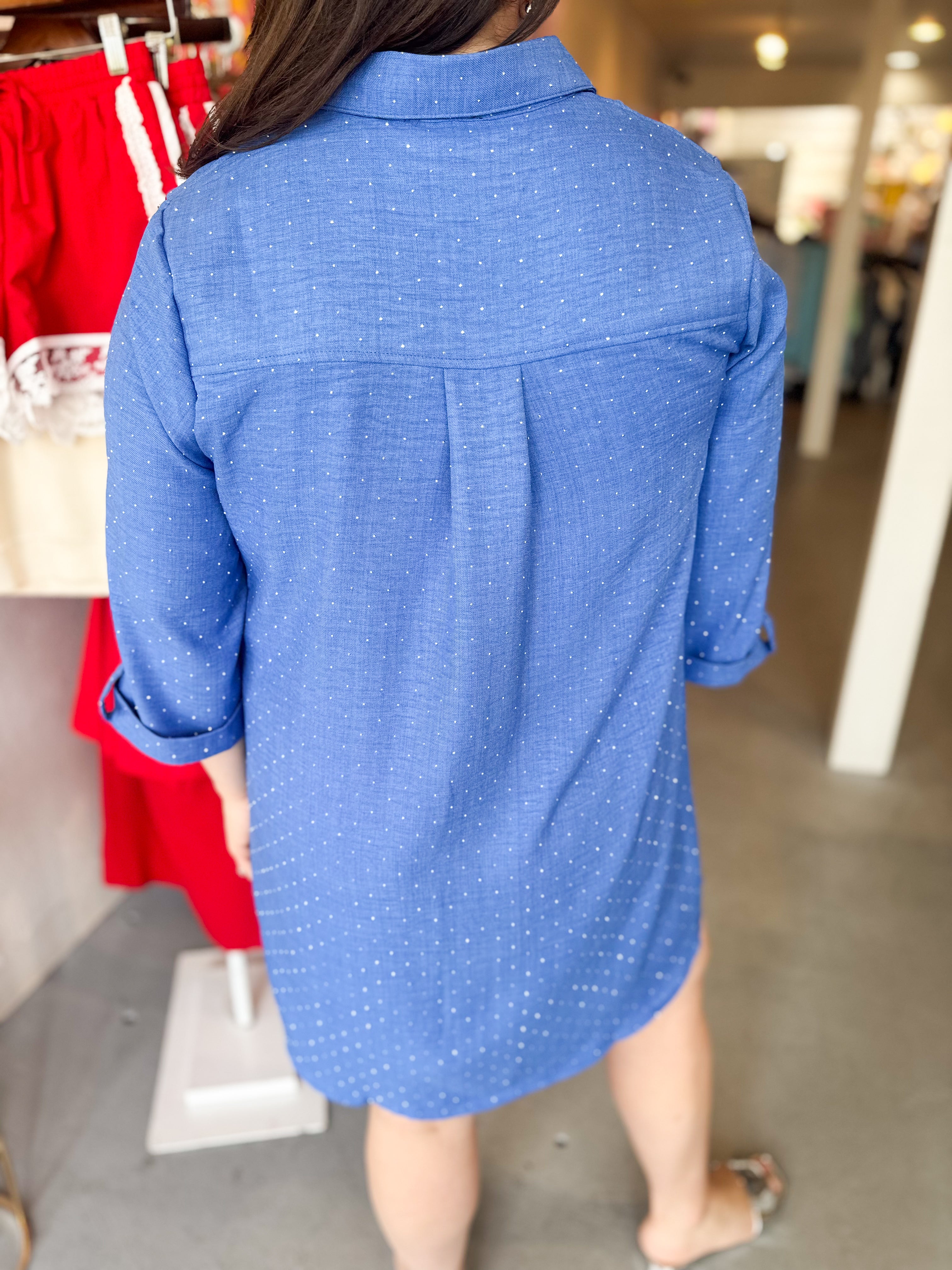 Plus Size Stardust Button Down Dress