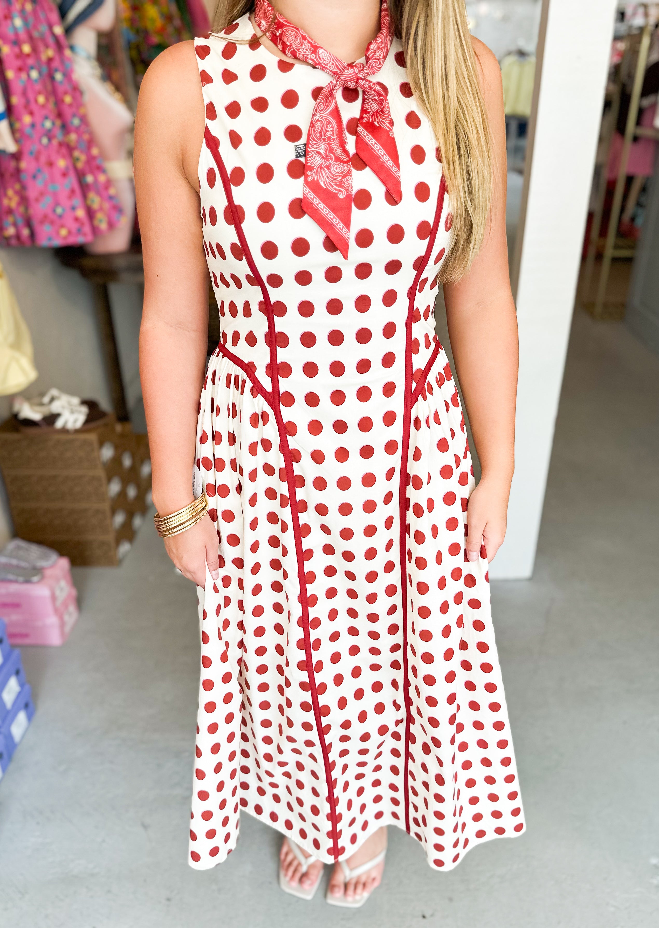 Parisian Picnic Dress