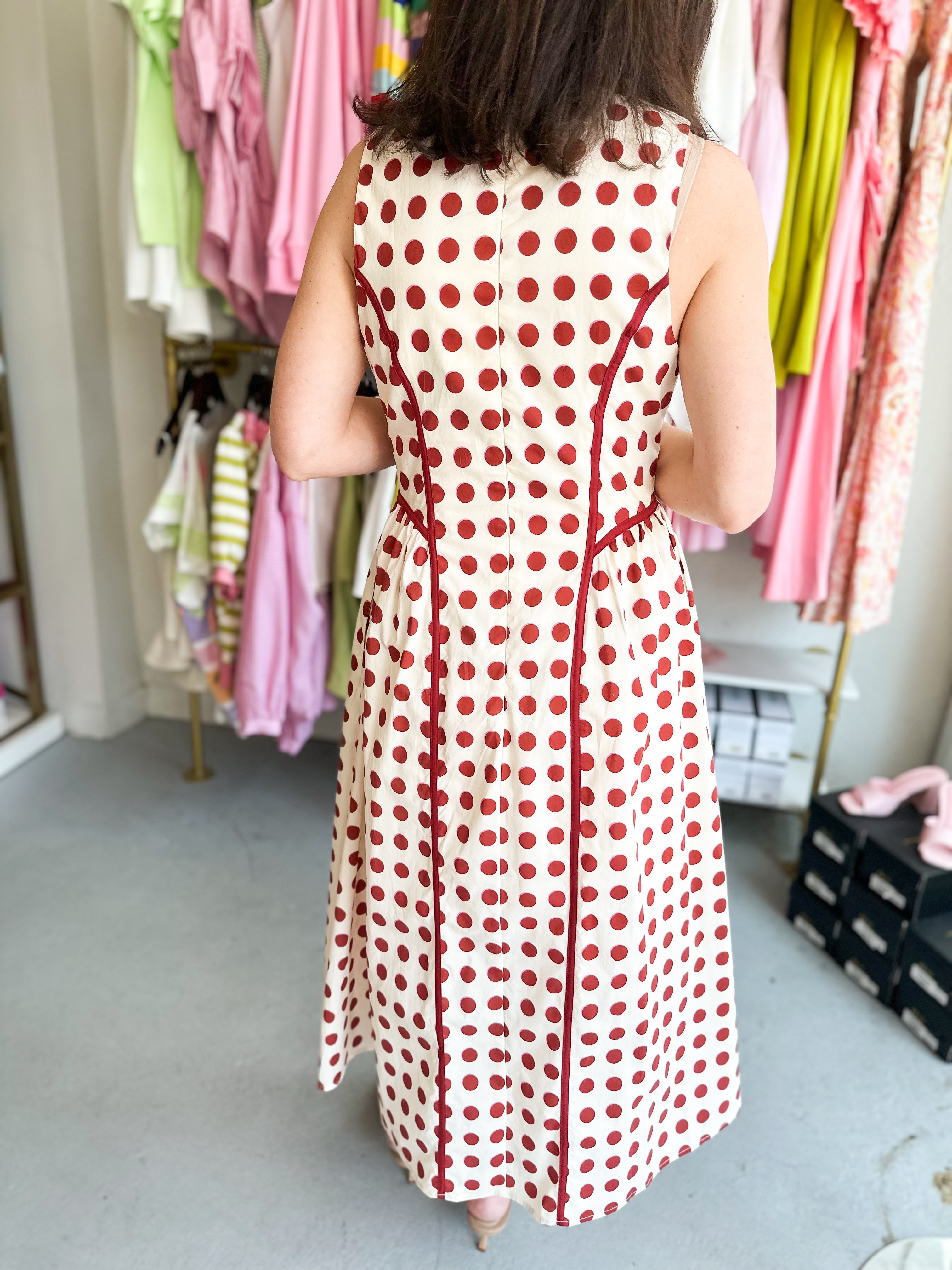 Parisian Picnic Dress