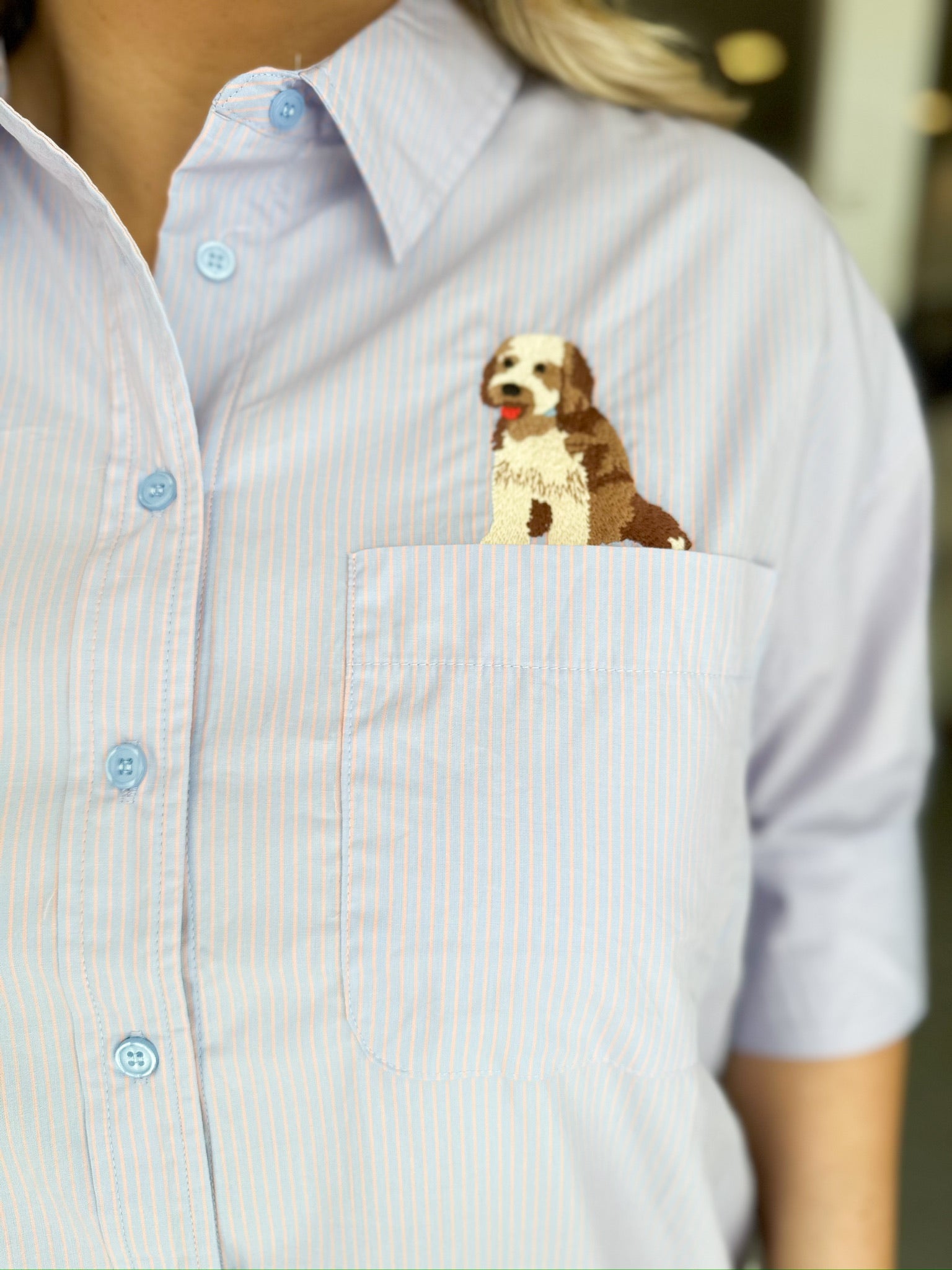 Best Friend Striped Oxford