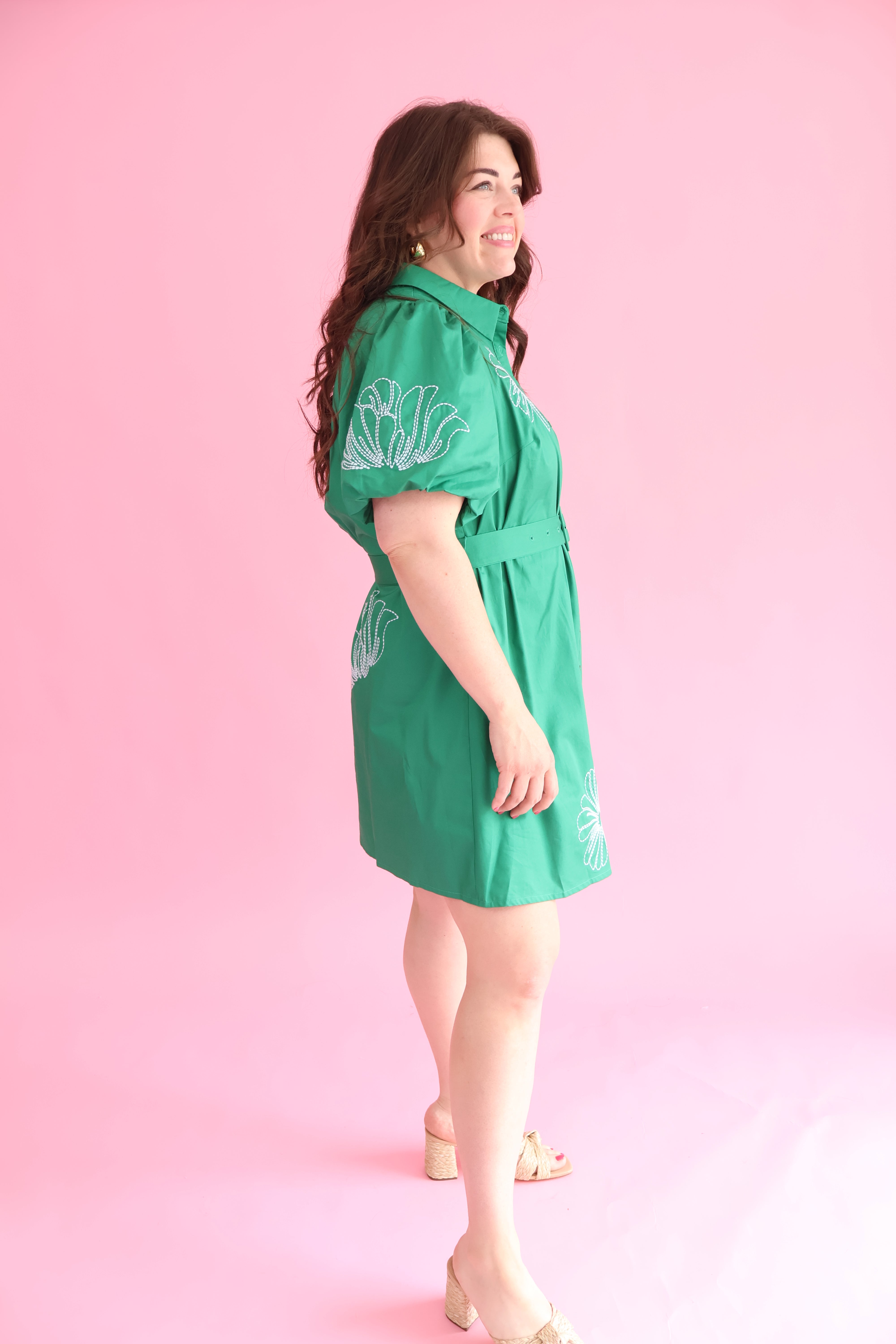 Plus Size Aurely Embroidery Dress