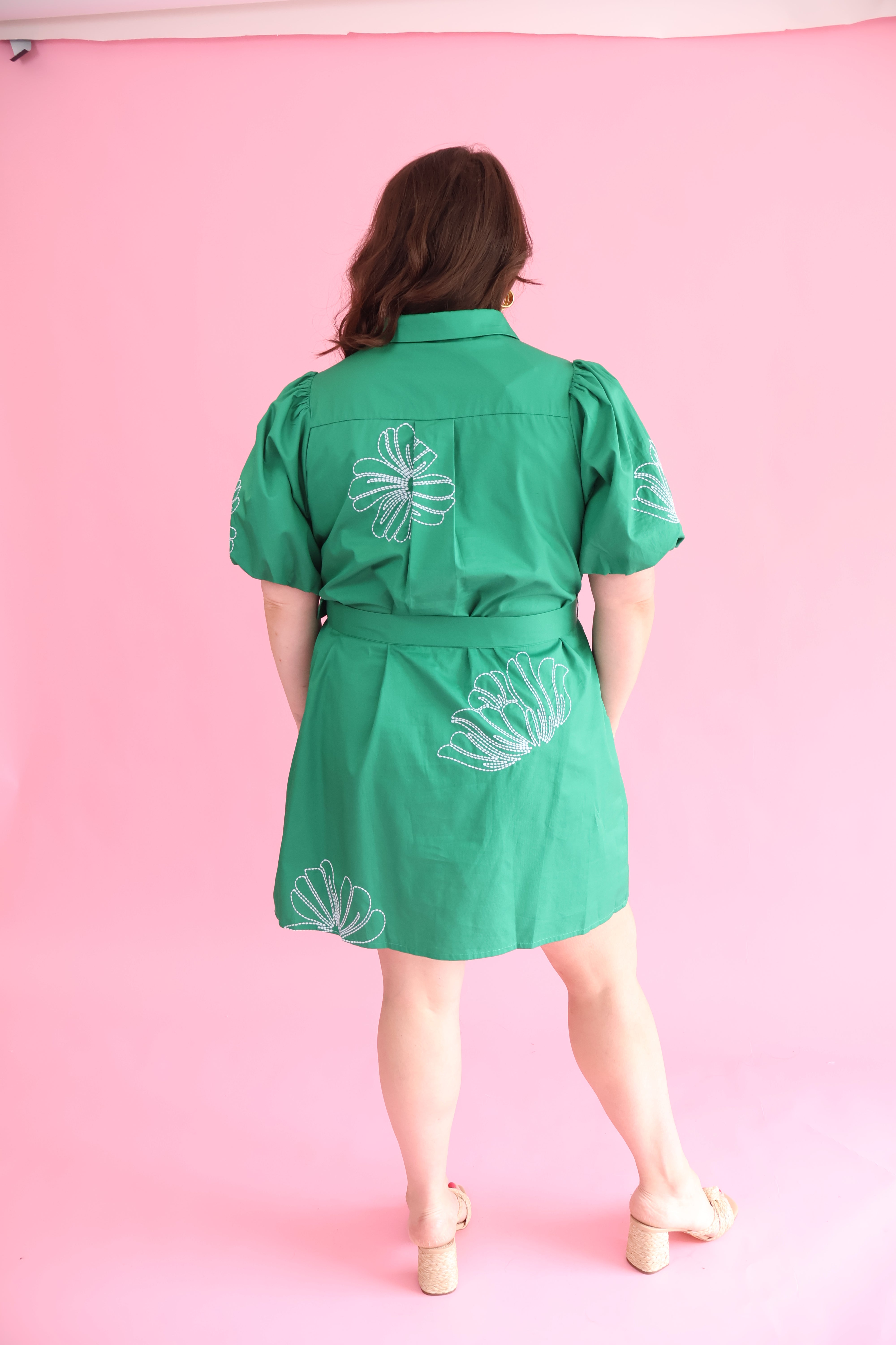 Plus Size Aurely Embroidery Dress